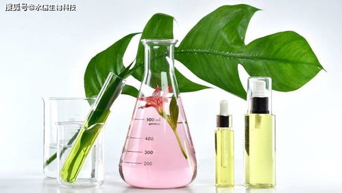 馬齒莧提取物在護膚品與化妝品中的優勢與適用性